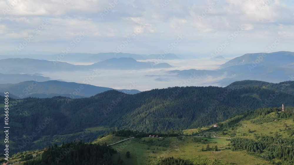 Drone View of National Park Tara, Serbia. Beauty of Balkan Green Hills. Drone Shot Drone View of National Park Tara, Serbia. Beauty of Balkan Green Hills. Drone Shot