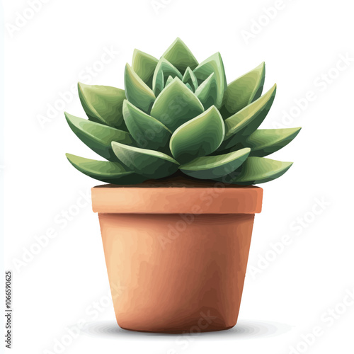 Illustration of a succulent plant in a pot on a white background1 