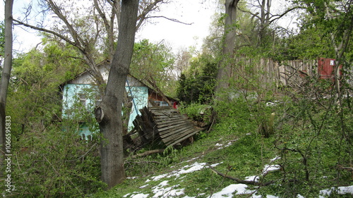 Moldova, Chisinau, logging, after a snowfall, broken trees, broken branches, street, park, fallen trees