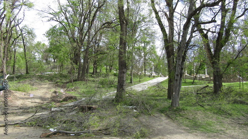 Moldova, Chisinau, logging, after a snowfall, broken trees, broken branches, street, park, fallen trees