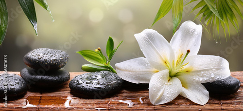  Spa,  frangipani, agua, relax, Zen,  