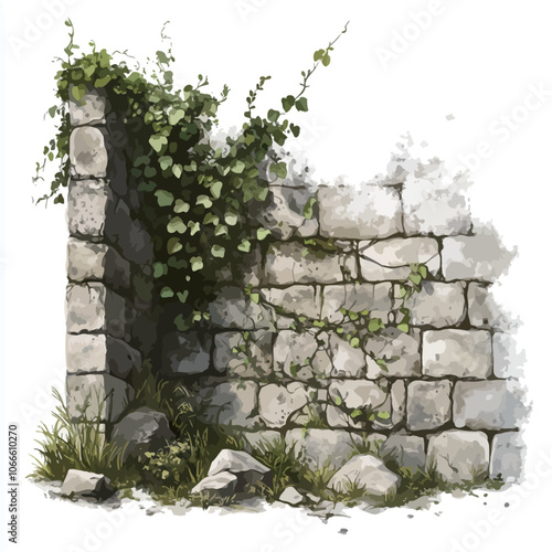 Old stone wall with ivy plant. Digital watercolor painting. 