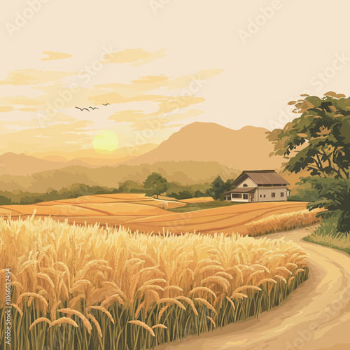 Rice field and rural house. Vector illustration. 