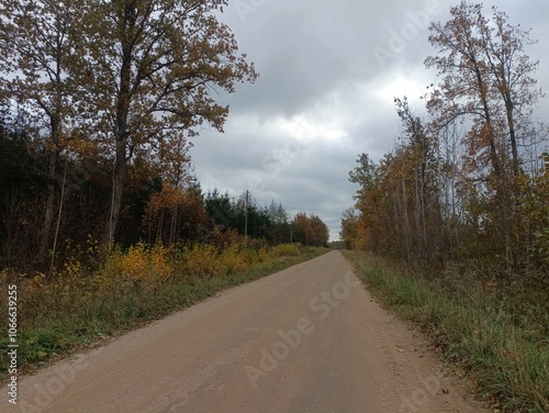 Road in forest in Siauliai county during cloudy autumn day. Oak and birch tree woodland. Cloudy day with white clouds in blue sky. Bushes are growing in woods. Sandy road. Nature. Fall season. Miskas.