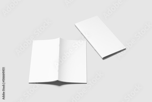 DL BROCHURE BLANK BACKGROUND