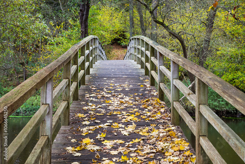 Weinbergbrücke Medingen Herbst photo