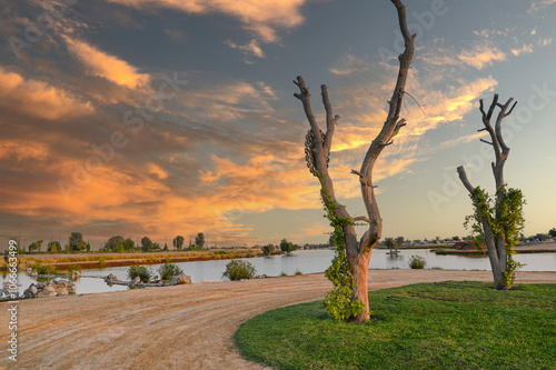 expo 2020 lakes with muddy desert path and lush green trees captured