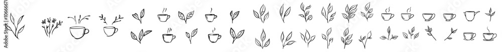An illustration of a set of monochrome leaves and stems with foliage and stems An illustration of a set of monochrome leaves and stems with foliage and stems