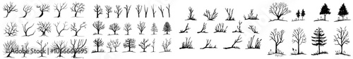 Silhouettes of dead trees, a black forest illustration of dying trees. Old dying trees of the forest.