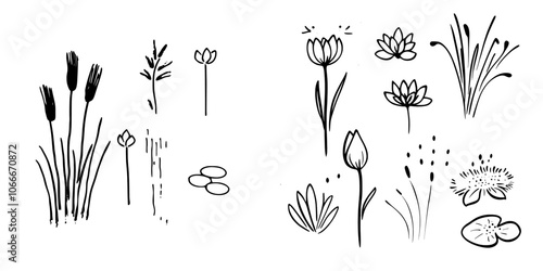 Linear icon with cattails and lilies in a swamp. Editable stroke