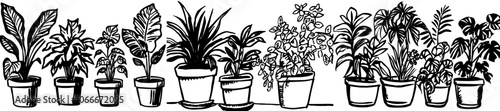 Plants in pot handdrawn modern illustrations, home decoration