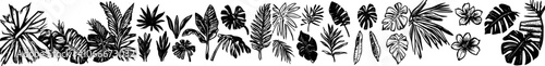 Line art illustration set of tropical leaves, hand drawn foliage doodles, line design elements, exotic summer botanical collection, insulated cards