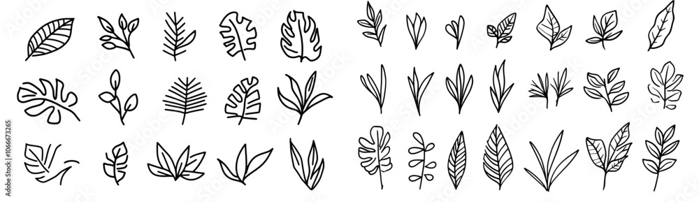 Exotic botanical leave sketch. Tropical palm leaf sketch, isolated linear doodle style. Exotic botanical leave sketch. Tropical palm leaf sketch, isolated linear doodle style.