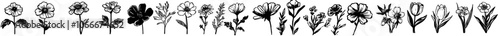 There is a set of botanical line art drawings of Forget me Not flowers, Myosotis grass, and Scorpion grasses isolated on terracotta color backgrounds. These are great for cards and posters.