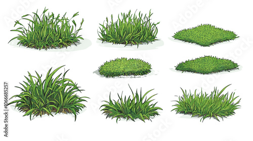 Set of vector grass illustrations on a white background Green flat meadows on white background Green turf vector set. Lawn field pasture grassland blades of grass Eco element foliage, stylized ecology
