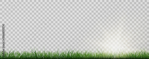 Grass border, vector illustration. Vector grass, lawn. Grass png, lawn png. Green grass with sun glare.	
