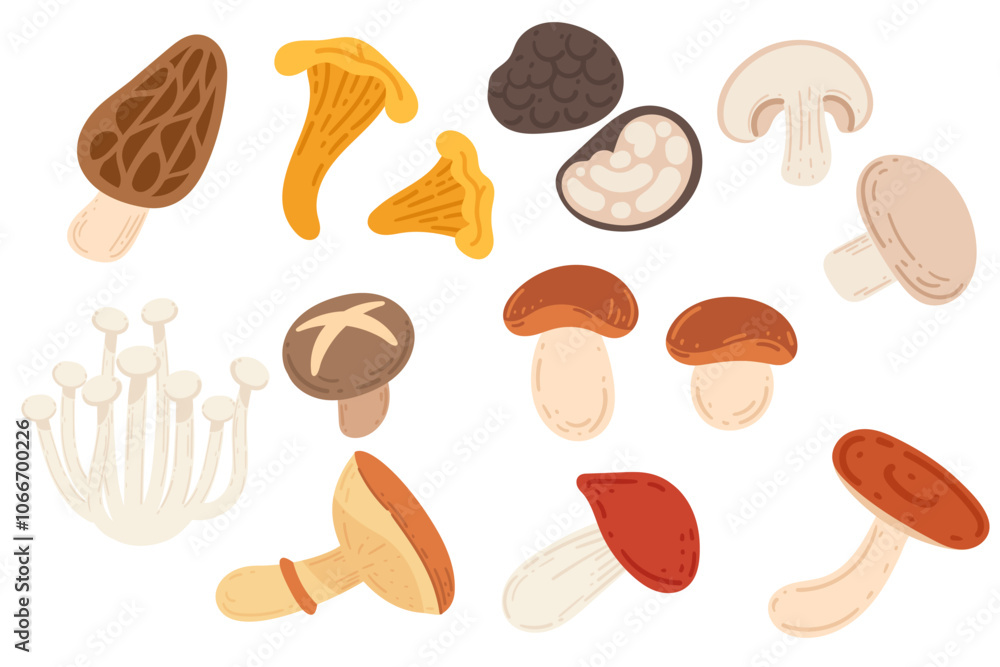 Collection of various mushrooms, including morels, chanterelles, and shiitakes, symbolizing nature, forest, and culinary uses. Great for organic food, health, and restaurant visuals. Vector Collection of various mushrooms, including morels, chanterelles, and shiitakes, symbolizing nature, forest, and culinary uses. Great for organic food, health, and restaurant visuals. Vector