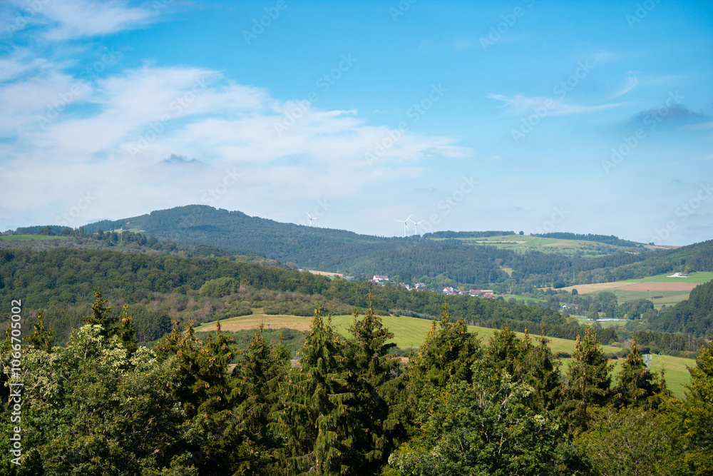 Fototapeta premium Landscape, green meadow, pasture and forest, countryside Germany, farmland in summer, Moselle valley, Rhineland Palatinate