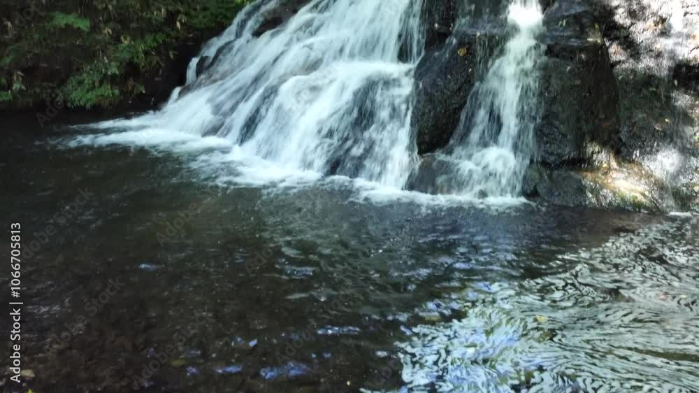 森の中の小さな滝