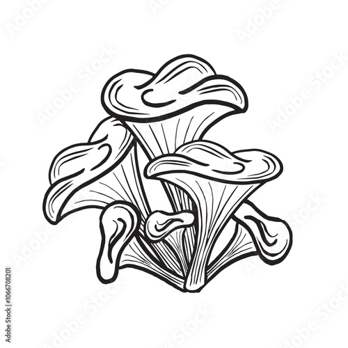 Chanterelle mushrooms sketch. Autumn forest harvest composition. Vector illustration hand drawn isolated. Ingredient for cooking raw food. Black and white fall arrangement. Clipart for wrapping, menu.