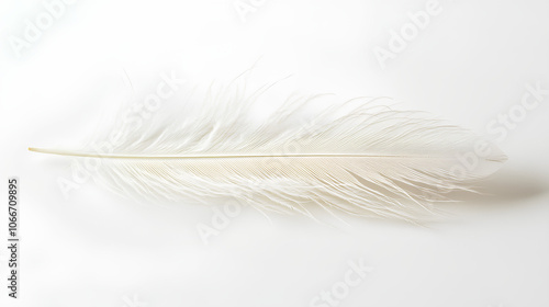 The feathers are separated on a white background, revealing their fine texture and bright green color.