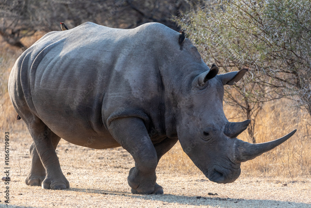 Obraz premium High tide mark