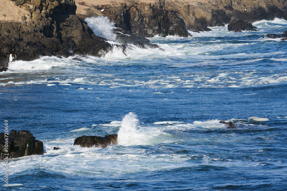 Fototapeta premium 北海道 根室の花咲岬と流氷