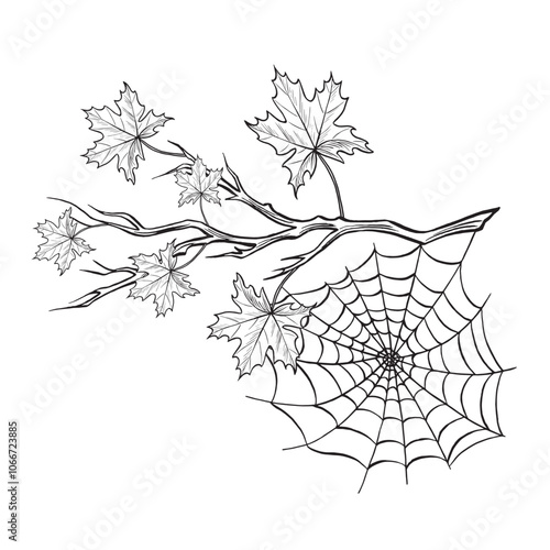 Forest fall composition sketch. Spider web on maple leaves branch. Foliage composition. Vector graphic line illustration, hand drawn isolated. Black and white spooky trap. Clipart for card, sticker.