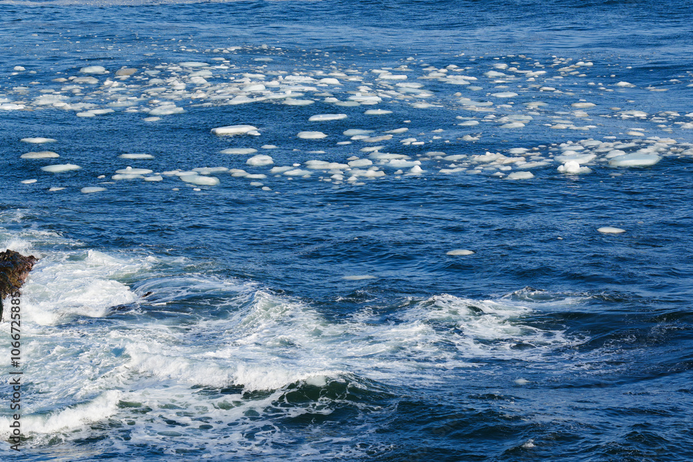 Fototapeta premium 北海道 根室の花咲岬と流氷