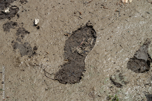 A muddy foot print is visible on the ground. The mud is thick and wet, and the foot print is large and deep. Concept of dirtiness and messiness photo