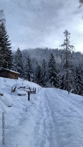 snow covered mountains and small cabin