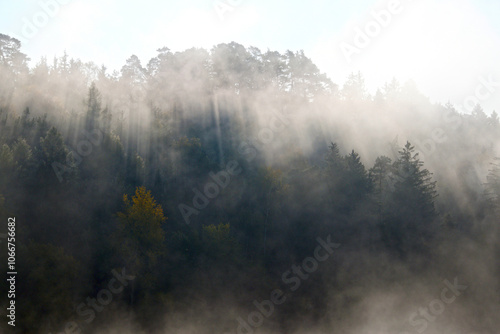 Feldlandschaft, Herbst