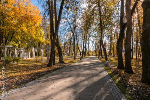 A path in a park with trees and a bench