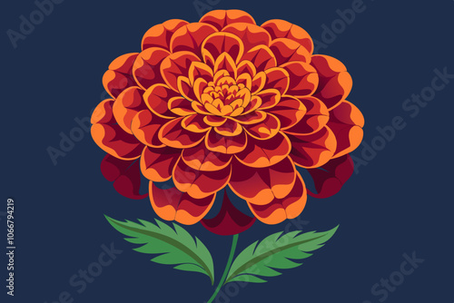  Beautiful merigold vector art illustration photo