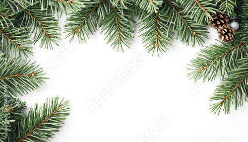 Frame made of fir branches isolated on white background. 