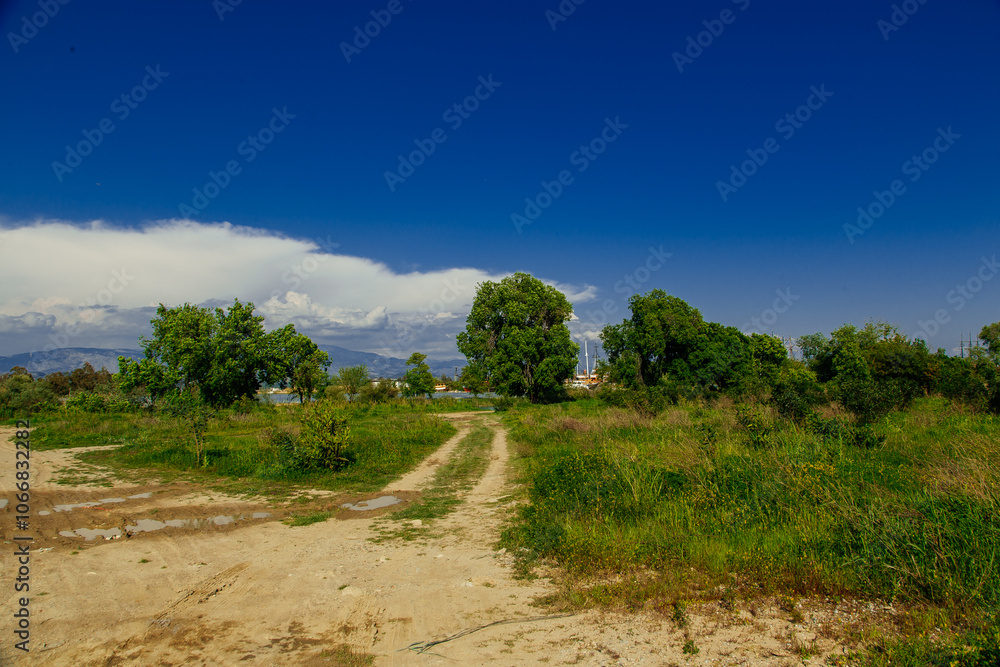Fototapeta premium road in the mountains