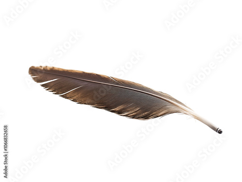 a brown feather on a white background