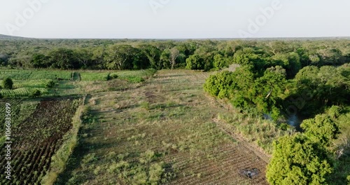 Aerial close-up fly over view. Shocking deforestation of a tropical forest for subsistence farming on the banks of the Phongolo river,  boundary of Ndumo Game Reserve   photo