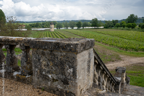 Vineyards of Graves appellation with grapes growing on soils with rounded stones cailloux roules, famous full body red wines of Portets, Bordeaux, France photo