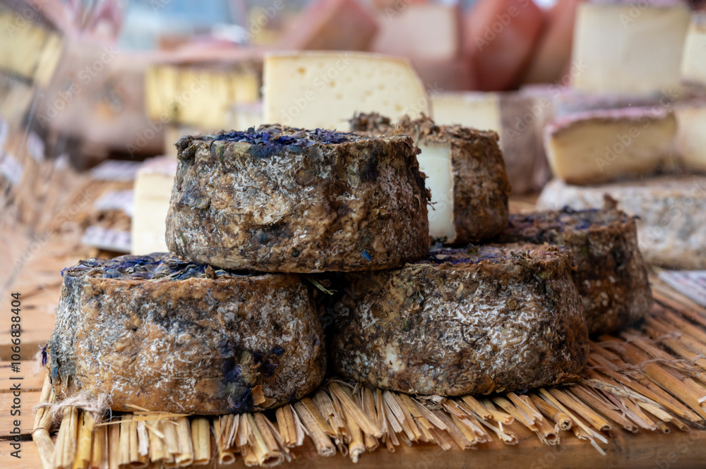 Farmer shop in Biarritz, France, Basque Country and Pyrenees sheep, goat cheeses for sale, smoked Tomme with flowers, farmers cheese Farmer shop in Biarritz, France, Basque Country and Pyrenees sheep, goat cheeses for sale, smoked Tomme with flowers, farmers cheese