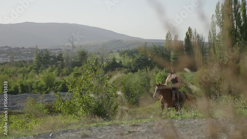 horse in the mountains