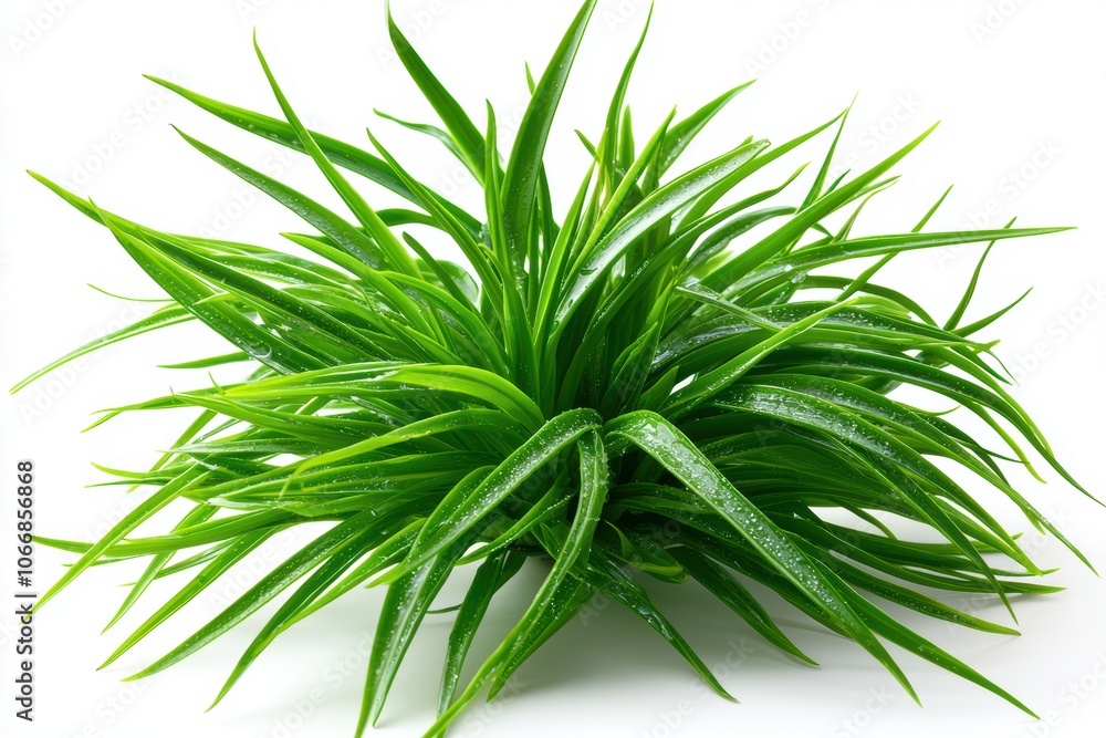 Fototapeta premium Stylized 3D Illustration of Green Shallots