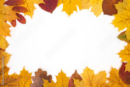 Frame made of dry autumn leaves on white background. Copy space, flat lay composition.