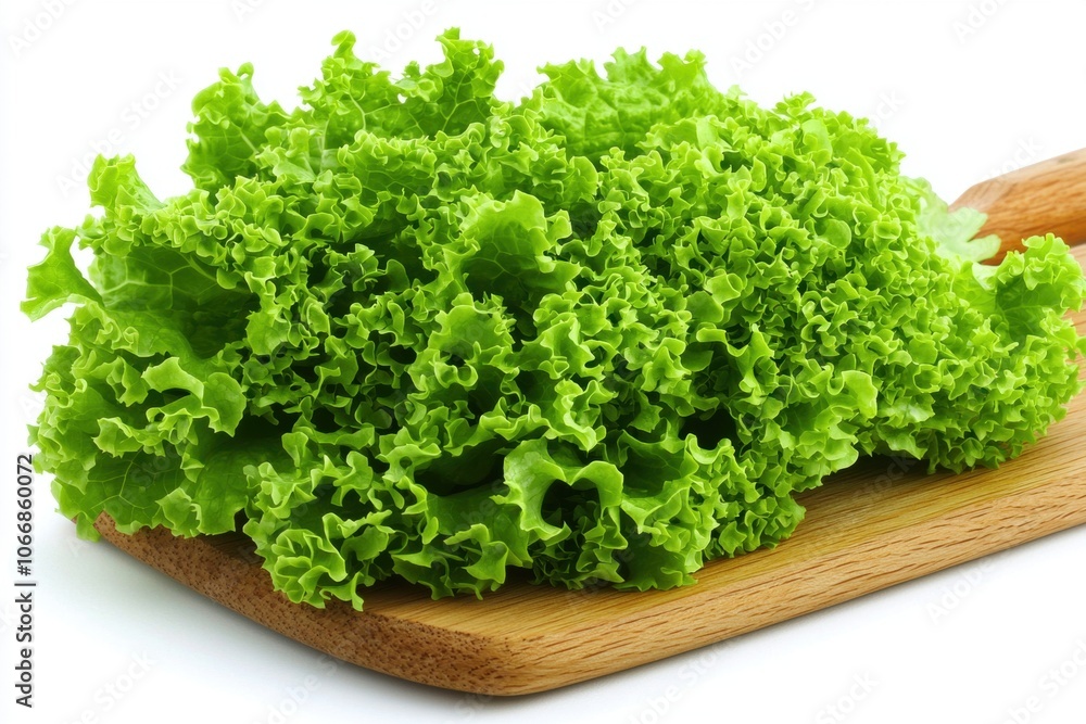 3D Stylized Illustration of Fresh Lettuce 3D Stylized Illustration of Fresh Lettuce