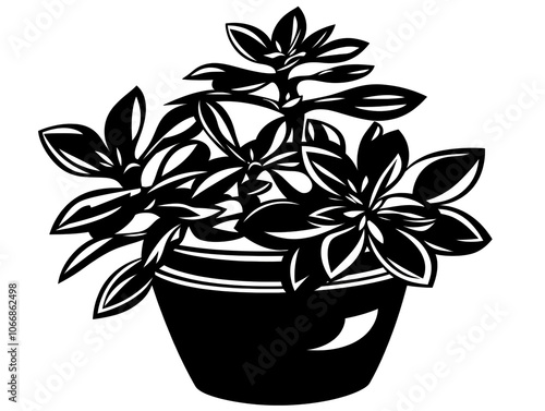 a black and white image of a plant photo