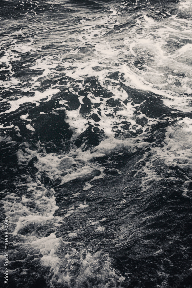 Obraz premium In The Deep