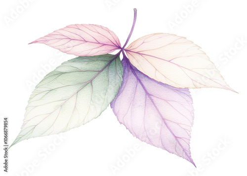 Explore the delicate beauty of pastel leaves in nature's palette transparent background