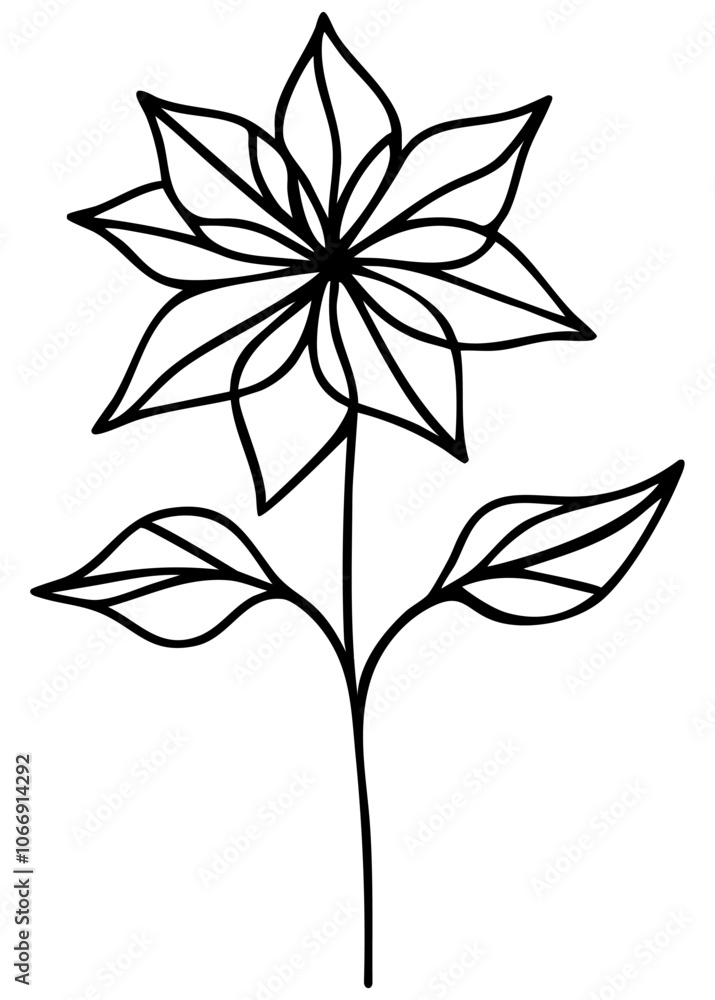 Lined Poinsettia flower vector illustration Lined Poinsettia flower vector illustration