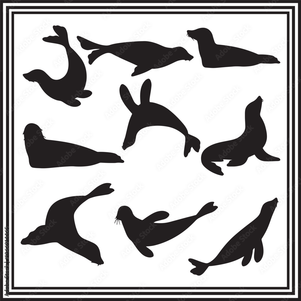 Silhouette set of Seal vector illustration on white background. Silhouette set of Seal vector illustration on white background.