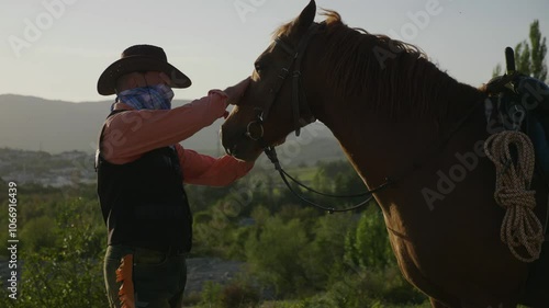 horse and rider